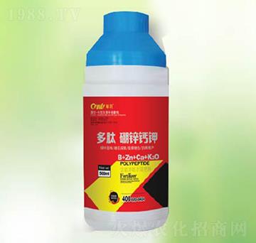 �������\�}�-�|������