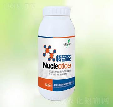 ������-�|������