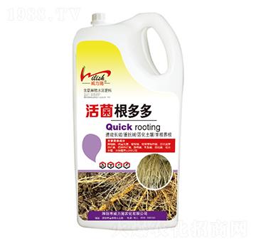 5kg��������-����ʩ