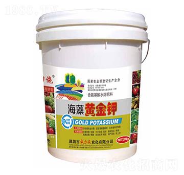 �����S���-����ʩ