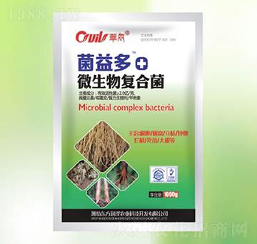 ΢����ͺϾ�-�����-�|������