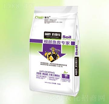 �������Ȍ���-�|����(r��n)��