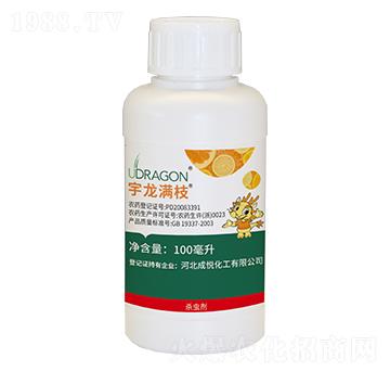 �����M֦-��������