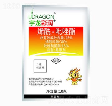 10gϩ����������-�����ʝ�-��������