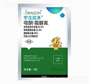 �fͪ��˪����-��������-��������