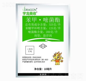 ���ס��Ѿ���-��������-��������