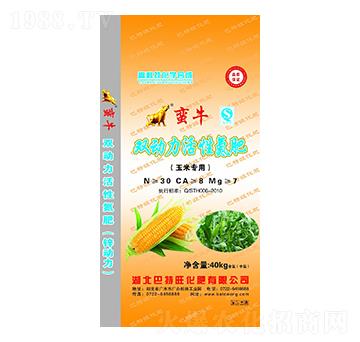 ���׌����p�������Ե���-�Uţ-������