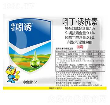 �Ŷ����T����-�������T-��������