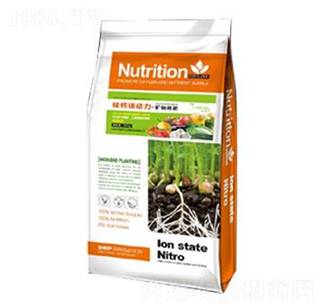 ��΢���V���-���}�V��(d��ng)��-��������