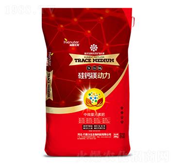 ���}�V����-��������