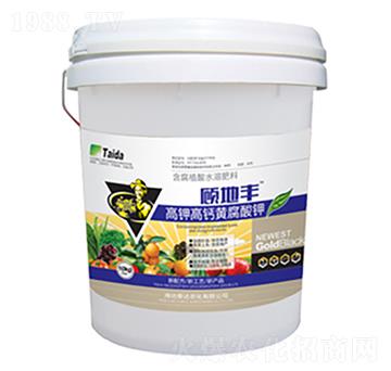 ��⛸��}�S�����-��S-̩�_�r��