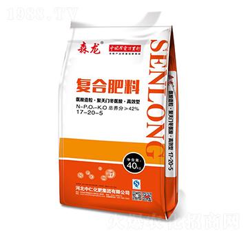 ���������������T�����ᡤ�߮a(ch��n)�͏�(f��)�Ϸ���17-20-5-ɭ��-���ʼ��F(tu��n)