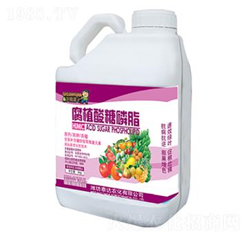 ��ֲ������֬-̩�_�r(n��ng)��