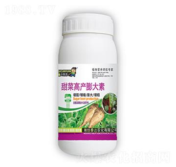 ��˸߮a(ch��n)�����-̩�_�r(n��ng)��