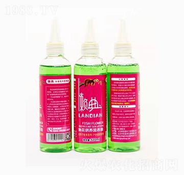 �~�����B(y��ng)�I(y��ng)�B(y��ng)Һ-���r(n��ng)ʢԴ