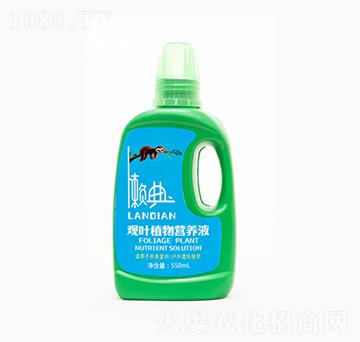 550ml�^(gu��n)�~ֲ��I(y��ng)�B(y��ng)Һ-���r(n��ng)ʢԴ