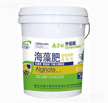 �����溣���Ͱ�b-����ʩ