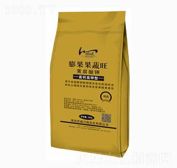 �S�����-���������-����ʩ