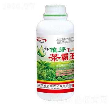 �����1000ml-����ʩ