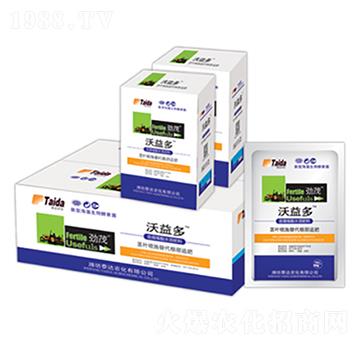 �����ϵ��-̩�_�r(n��ng)��