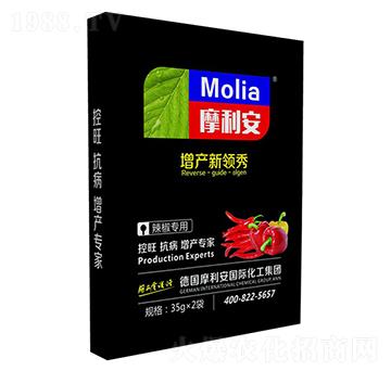 ��������-Ħ����