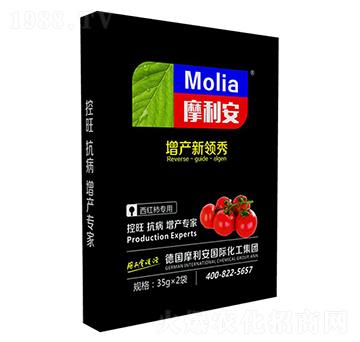 ���t������-Ħ����