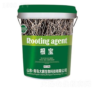 ����-���i����