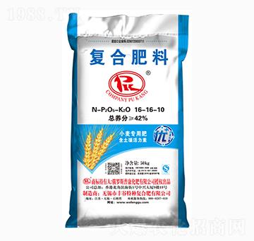 �ͺϷ���16-16-10-�տ�-�S��