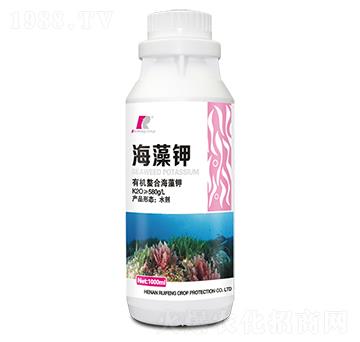 �����-�J�S����