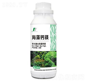 �����}�V-�J�S����