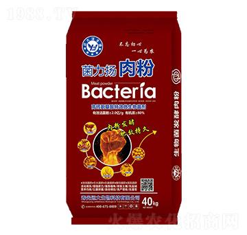 ���}������΢�������-�����P(y��ng)���-�h(yu��n)������