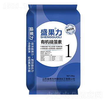 �ЙC������-ʢ����-�G��