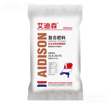 �����L(zh��ng)Ч���ܷ���-����ɭ