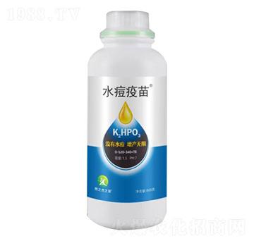 ˮ������-�S�՘�