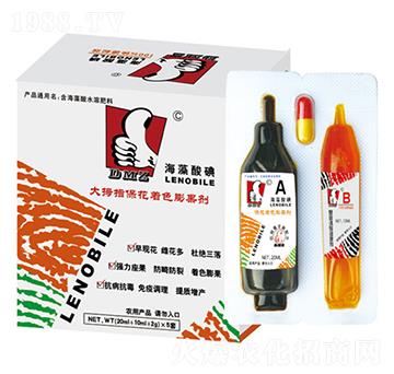 ��Ĵָ�������-�κ��r(n��ng)