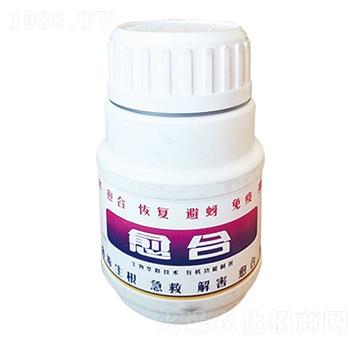 �����ޏ̈́�-����-����