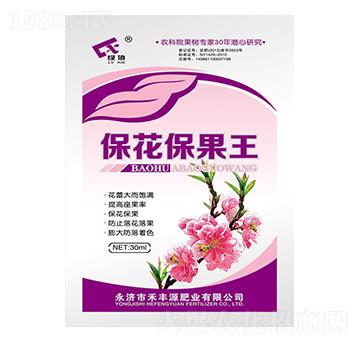 ����������-���SԴ�ʘI(y��)