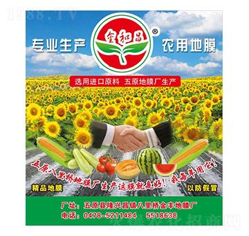 �r�õ�Ĥ-��Ͳ�