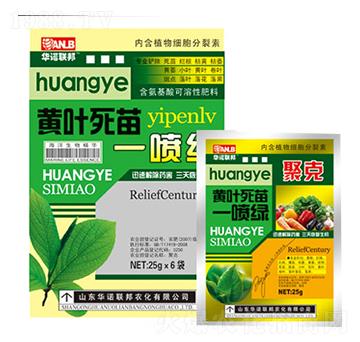 �S�~����һ���G-�A�Z(li��n)��