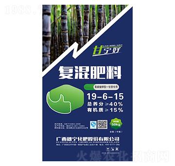 �����m�Ï�(f��)�����19-6-15-�댎