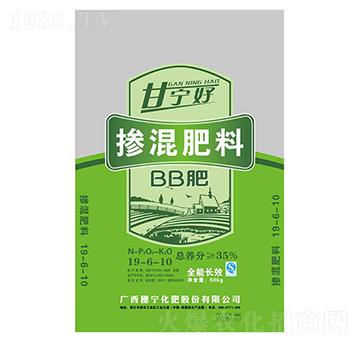 �������19-6-10-�ʌ���-�댎