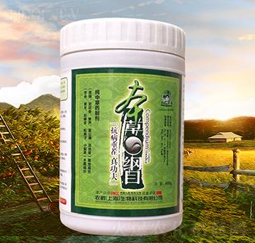 ���в�ˎ�Ƅ�-���ݘ���-�r(n��ng)��