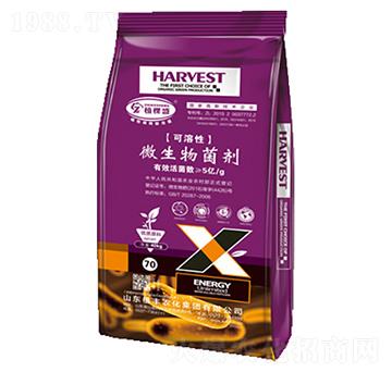 ������΢�������-ֲ��ʢ-ֲ�S�r(n��ng)��