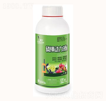 ��⛄���Һ-���λ���