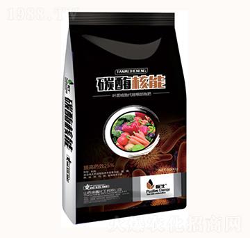 ̼ø����-���λ���