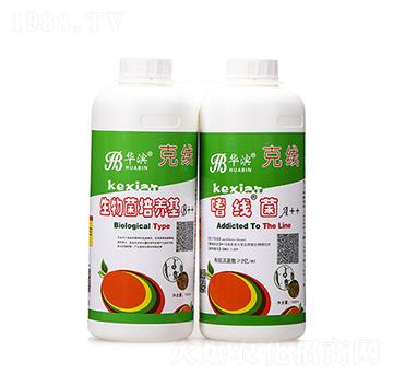 ��������B(y��ng)��+�Ⱦ���-