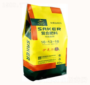 �������16-13-16-�������r�I(y��)