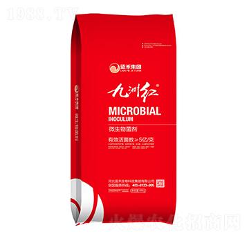 5�|��΢�������-���޼t-�{(l��n)������