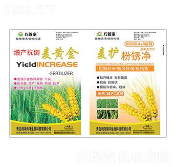 ���a(ch��n)�������S��+���o���P��-�ɹܼ�-����