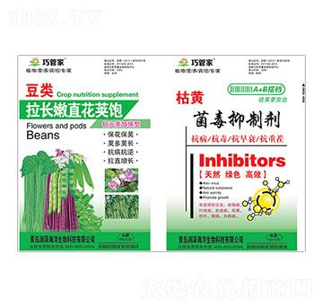 ������L(zh��ng)��ֱ���v�+���S�������Ƅ�-�ɹܼ�-��(r��n)��